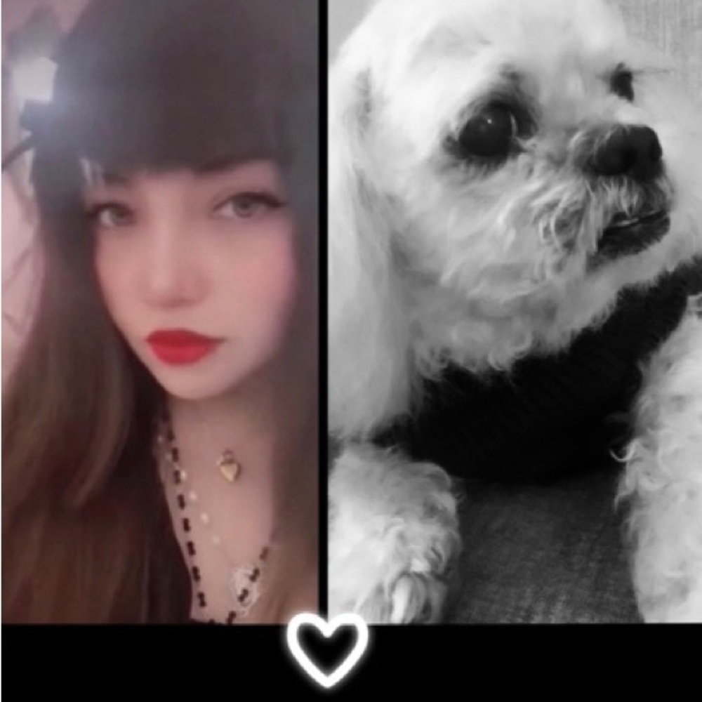 Meet your Posher, Nancegingy